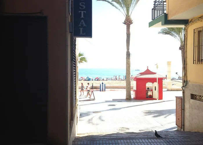Hostal Delfin Verde